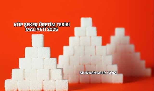 Küp Şeker Üretim Tesisi Maliyeti 2025