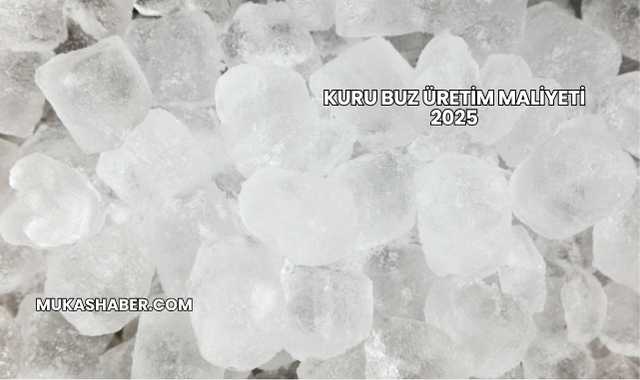 Kuru Buz Üretim Maliyeti 2025