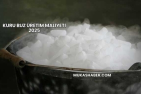 Kuru Buz Üretim Maliyeti 2025