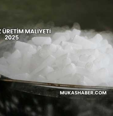 Kuru Buz Üretim Maliyeti 2025