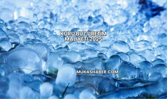 Kuru Buz Üretim Maliyeti 2025