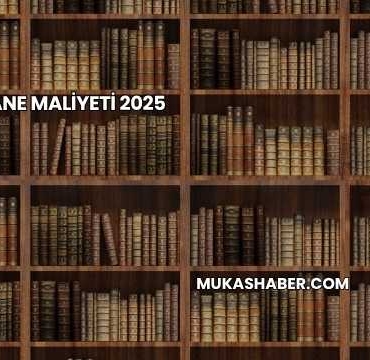 Kütüphane Maliyeti 2025
