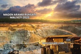 Maden Arama Ruhsatı Maliyeti 2025