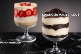 Magnolia Maliyeti 2025