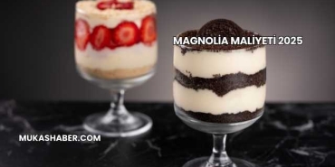 Magnolia Maliyeti 2025