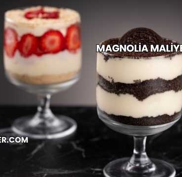 Magnolia Maliyeti 2025