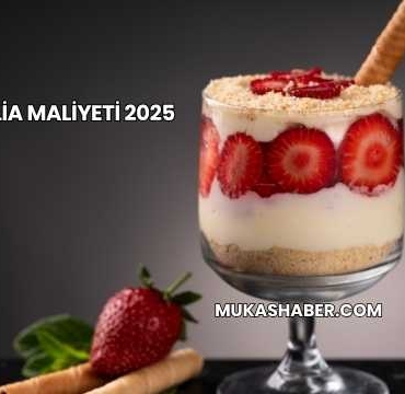 Magnolia Maliyeti 2025