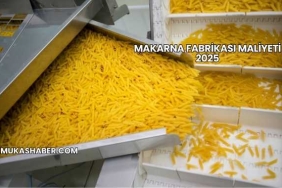 Makarna Fabrikası Maliyeti 2025