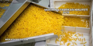 Makarna Fabrikası Maliyeti 2025