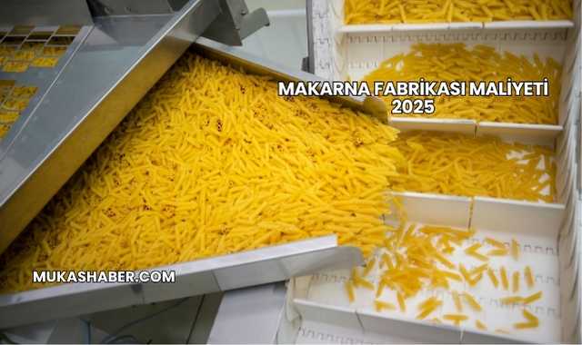 Makarna Fabrikası Maliyeti 2025