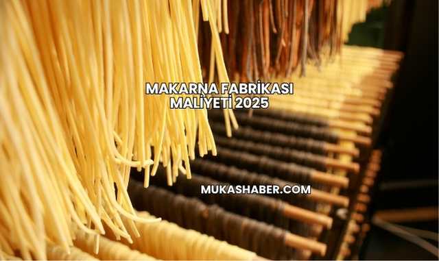 Makarna Fabrikası Maliyeti 2025