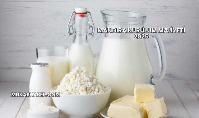 Mandıra Kurulum Maliyeti 2025
