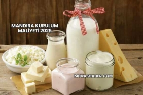 Mandıra Kurulum Maliyeti 2025