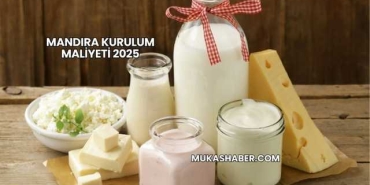 Mandıra Kurulum Maliyeti 2025