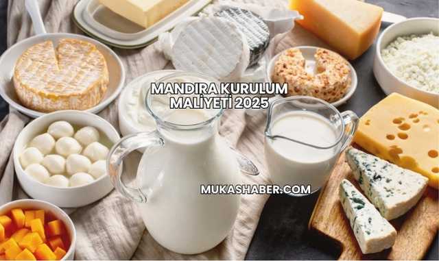 Mandıra Kurulum Maliyeti 2025