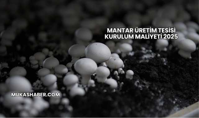 Mantar Üretim Tesisi Kurulum Maliyeti 2025