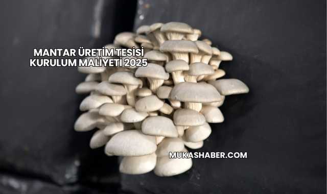 Mantar Üretim Tesisi Kurulum Maliyeti 2025