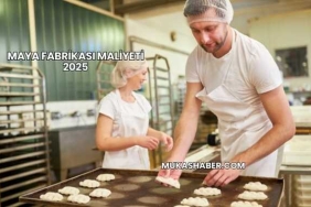 Maya Fabrikası Maliyeti 2025
