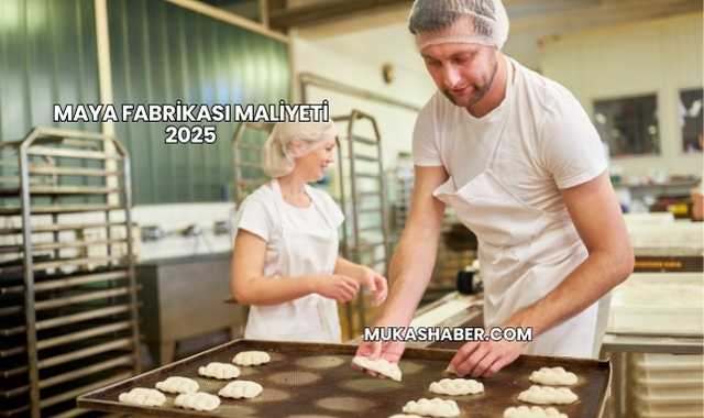 Maya Fabrikası Maliyeti 2025