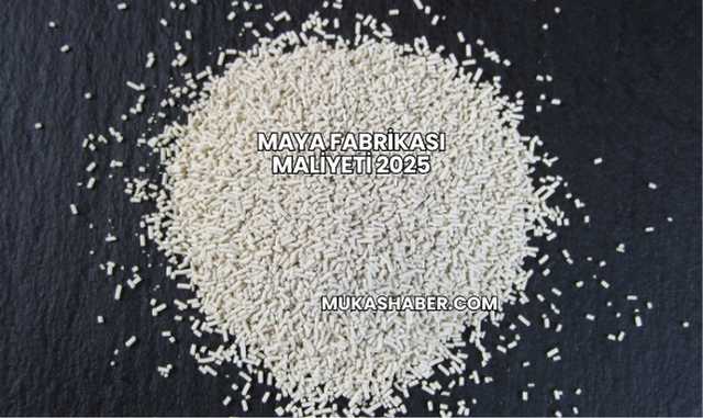 Maya Fabrikası Maliyeti 2025