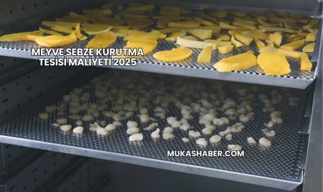 Meyve Sebze Kurutma Tesisi Maliyeti 2025