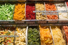 Meyve Sebze Kurutma Tesisi Maliyeti 2025
