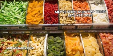 Meyve Sebze Kurutma Tesisi Maliyeti 2025