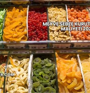 Meyve Sebze Kurutma Tesisi Maliyeti 2025