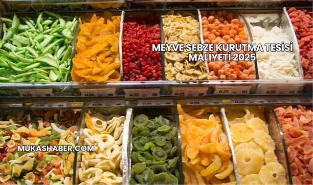 Meyve Sebze Kurutma Tesisi Maliyeti 2025