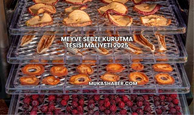 Meyve Sebze Kurutma Tesisi Maliyeti 2025