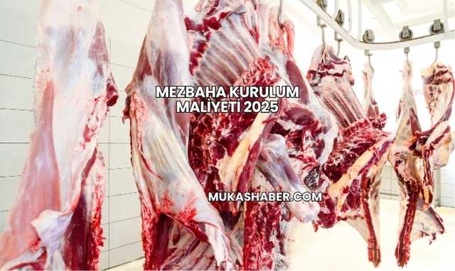 Mezbaha Kurulum Maliyeti 2025