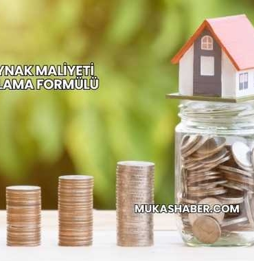 Özkaynak Maliyeti Hesaplama Formülü