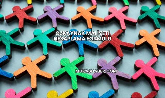 Özkaynak Maliyeti Hesaplama Formülü