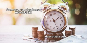 Özkaynak Maliyeti Nasıl Hesaplanır?