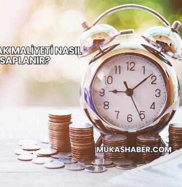 Özkaynak Maliyeti Nasıl Hesaplanır?