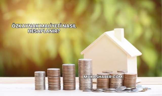 Özkaynak Maliyeti Nasıl Hesaplanır?