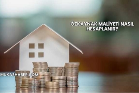 Özkaynak Maliyeti Nasıl Hesaplanır?