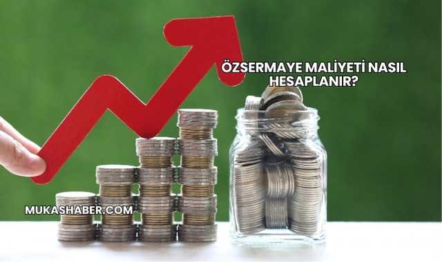 Özsermaye Maliyeti Nasıl Hesaplanır?