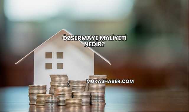 Özsermaye Maliyeti Nedir?