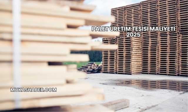 Palet Üretim Tesisi Maliyeti 2025