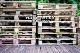 Palet Üretim Tesisi Maliyeti 2025