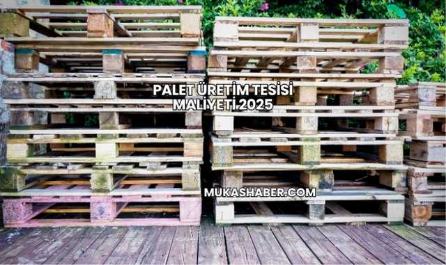 Palet Üretim Tesisi Maliyeti 2025