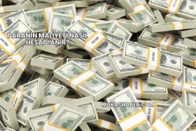Paranın Maliyeti Nasıl Hesaplanır?