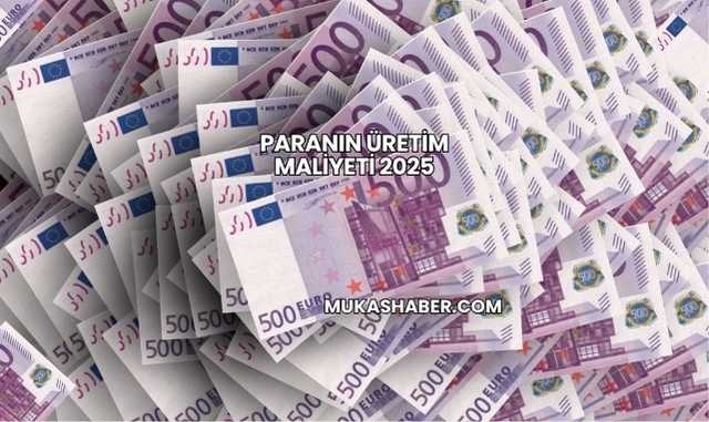 Paranın Üretim Maliyeti 2025