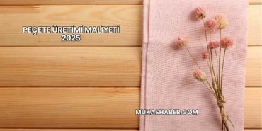 Peçete Üretimi Maliyeti 2025