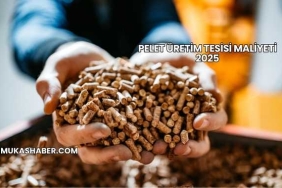 Pelet Üretim Tesisi Maliyeti 2025