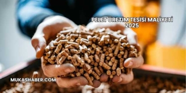 Pelet Üretim Tesisi Maliyeti 2025
