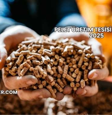 Pelet Üretim Tesisi Maliyeti 2025