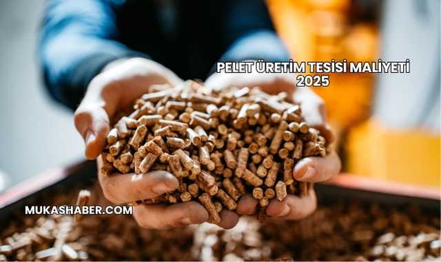 Pelet Üretim Tesisi Maliyeti 2025