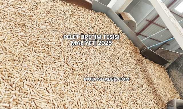 Pelet Üretim Tesisi Maliyeti 2025